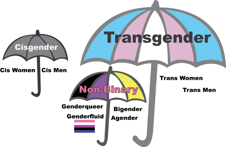 Visuelle Darstellung des sogennanten trans umbrella